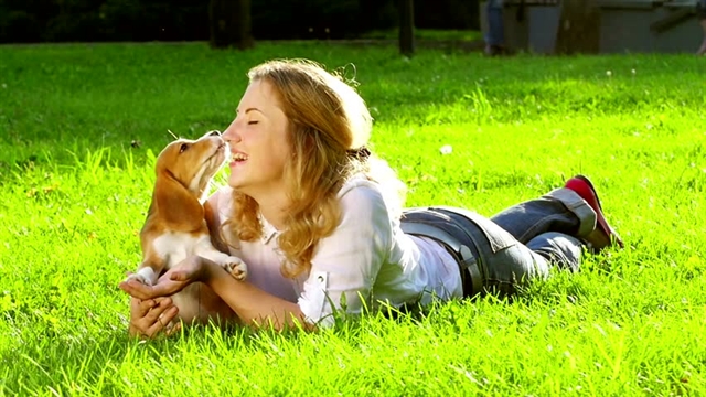 A e adoptojnë qentë personalitetin e pronarëve të tyre? Lidhja befasuese midis personaliteteve të qenit dhe pronarit (432&nbsp;fjalë)