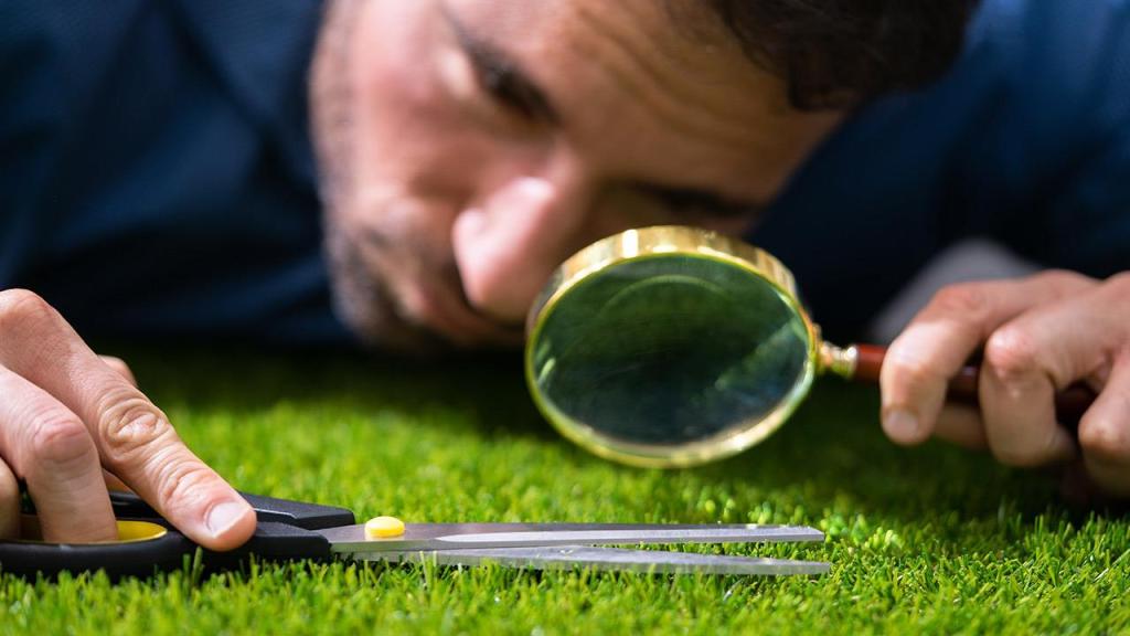 Çfarë është atelofobia dhe çfarë është perfeksionizmi? (1865&nbsp;fjalë)